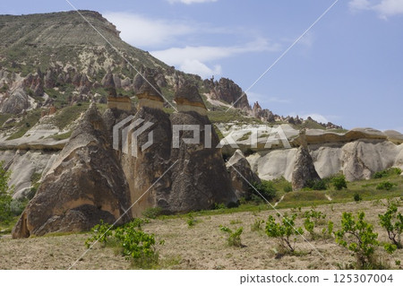 土耳其卡帕多西亞的帕薩巴格地區 土耳其卡帕多西亞的帕薩巴格地區 125307004
