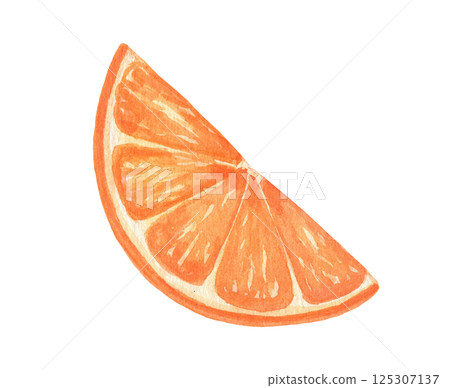 Watercolor orange fruit single slice, isolated food illustration 125307137