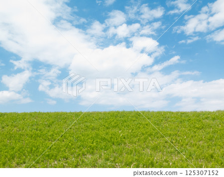 春天草地和藍天 125307152