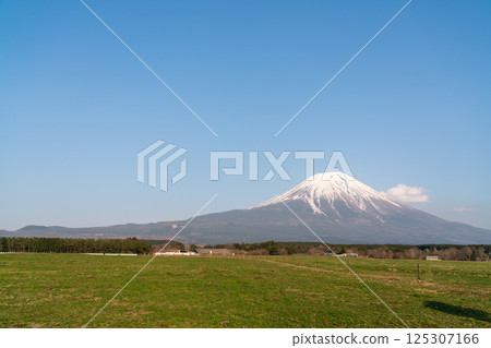 [Shizuoka Prefecture] Mount Fuji on a clear spring day 125307166