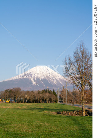 [Shizuoka Prefecture] Mount Fuji on a clear spring day 125307167