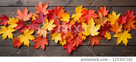 Colorful autumn leaves in shades of red, orange, and yellow scattered on a dark wooden surface. The leaves display intricate veins and jagged edges, capturing the essence of fall Colorful autumn leaves in shades of red, orange, and yellow scattered on a dark wooden surface. The leaves display intricate veins and jagged edges, capturing the essence of fall 125307182