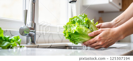 Hands gently washing fresh green iceberg lettuce under running water in a modern kitchen sink, accented by a sleek chrome faucet and a sunlit countertop Hands gently washing fresh green iceberg lettuce under running water in a modern kitchen sink, accented by a sleek chrome faucet and a sunlit countertop 125307194
