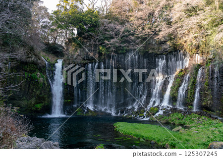 [靜岡縣] 春天的白絲瀑布 125307245