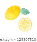 Lemon illustration - watercolor style 125307513