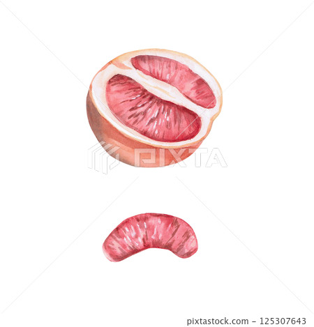 Set of grapefruit halves and slices in isolated watercolor illustration. Part of the fruit for juice packaging design, poster printing, clothing, shop window decoration 125307643