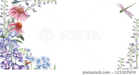 Rectangular frame with a bouquet of echinacea and delphinium flowers with dragonflies. Isolated watercolor illustration for postcards, printed products, calendars, cosmetics packaging. Rectangular frame with a bouquet of echinacea and delphinium flowers with dragonflies. Isolated watercolor illustration for postcards, printed products, calendars, cosmetics packaging. 125307659