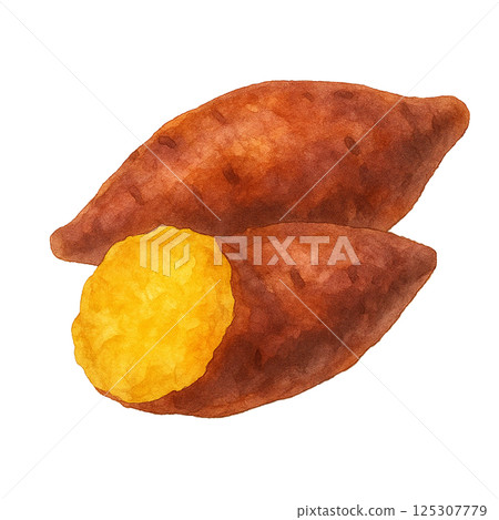 Illustration of baked sweet potato and its cross section drawn by watercolor (food) 125307779