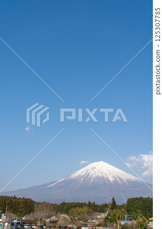 [Shizuoka Prefecture] Mt. Fuji on a clear spring day 125307785