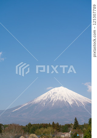 【靜岡縣】春日晴朗的富士山 125307789