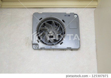 Ventilation fan during disassembly and cleaning 125307871
