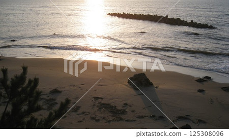 The sea, beach and pine trees illuminated by the setting sun The sea, beach and pine trees illuminated by the setting sun 125308096