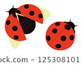 Simple ladybug illustration 125308101