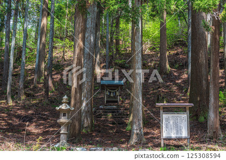 A small shrine in the coniferous forest, Okuyakushi Shrine, Nagahama City 125308594