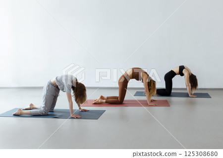 Group of athletic girls doing cat asana kneeling pose during group yoga course in fitness studio Group of athletic girls doing cat asana kneeling pose during group yoga course in fitness studio 125308680