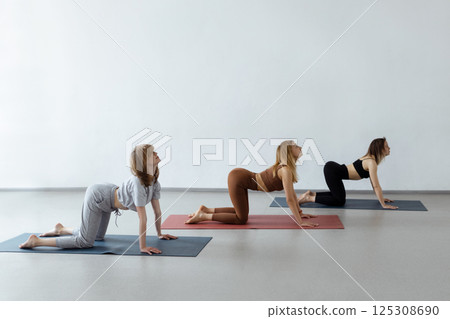 Group of athletic girls doing cat asana kneeling pose during group yoga course in fitness studio 125308690