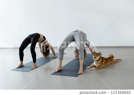Slim body and health care. Urdhva Dhanurasana , Inverted Bow Pose or Bridge Pose 125308692