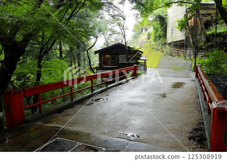 雨中的伊香保溫泉～猿澤橋 125308919