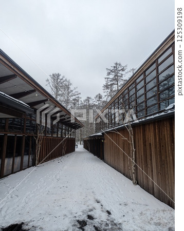 Nagano Forest Village Buildings Nagano Forest Village Buildings 125309198
