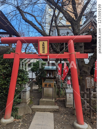 Torii gate of Tamatori Inari Shrine, a Japanese shrine Torii gate of Tamatori Inari Shrine, a Japanese shrine 125309199