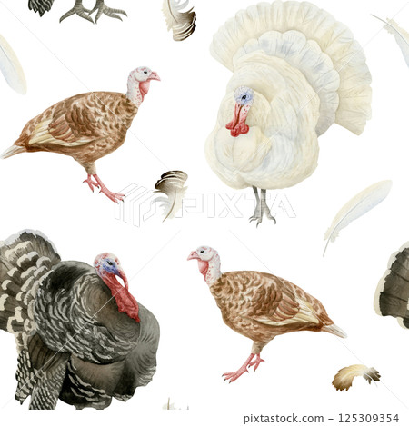 Watercolor turkeys seamless pattern. Black, white and brown farm birds with feathers hand drawn background. Poultry yard animals for Thanksgiving Day designs 125309354