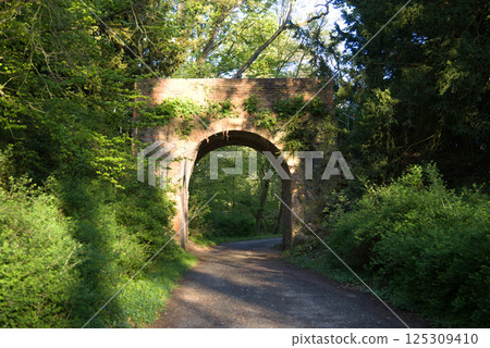 An ancient arch hidden in the forest An ancient arch hidden in the forest 125309410