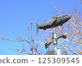 [Chiba] Weathervane at the Earth's Round View Observatory 125309545