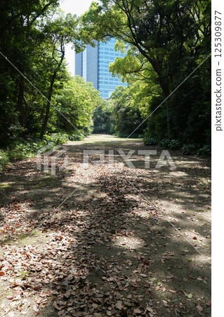 The remains of the horse riding grounds at Hama-rikyu Gardens 125309877