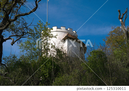 The tower of an ancient castle is visible through the dense foliage of the trees 125310011