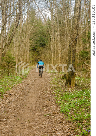 Cyclist riding on dirt forest path through spring woods in daylight. High quality photo 125310103