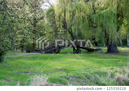 In the distance, through the green forest, a wooden bridge is visible 125310128