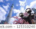 [Tokyo] Skytree and cherry blossoms 125310240