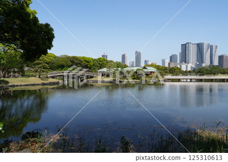 濱離宮花園 125310613