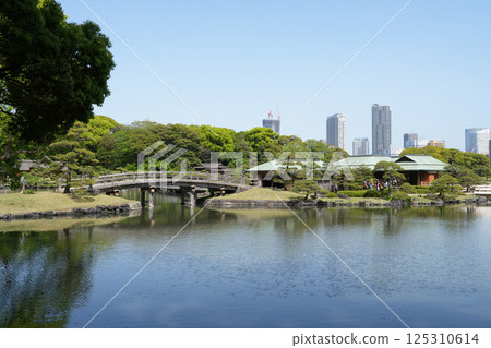 Hamarikyu Garden 125310614