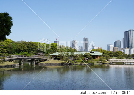 濱離宮花園 濱離宮花園 125310615