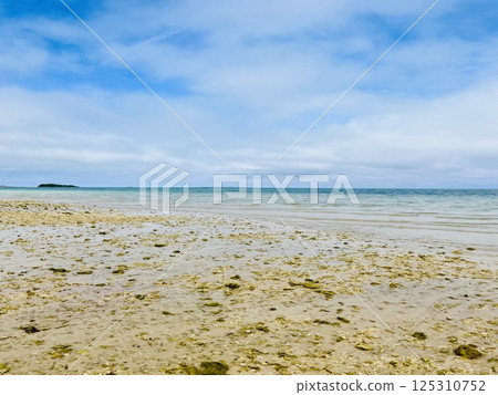 沖繩美麗的沙灘和清澈的海水 125310752