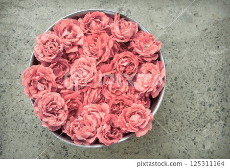 Pink Roses in bowl Pink Roses in bowl 125311164