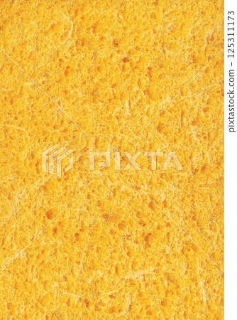 Sponge. Abstract texture 125311173