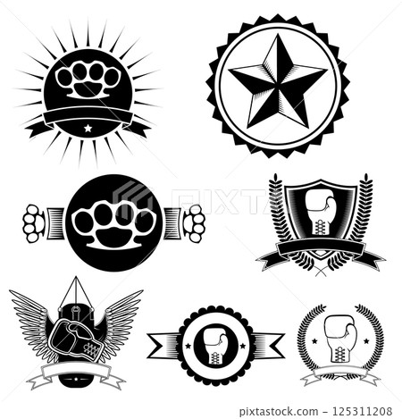 Boxing club emblems, the club of mixed martial arts. A set of vector elements for design 125311208