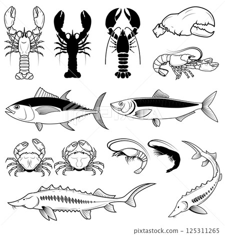 Set of the tuna, herring, Sturgeon,  crabs, shrimps, lobsters. Retro vector design graphic element, emblem, logo, insignia, sign, identity, logotype, poster. 125311265