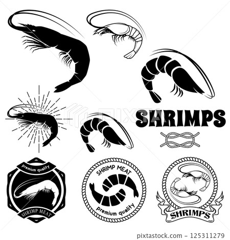 Set of shrimps meat labels, badges and design elements in vector. Sunburst, anchors, labels templates for seafood logotypes. Vector illustration. 125311279
