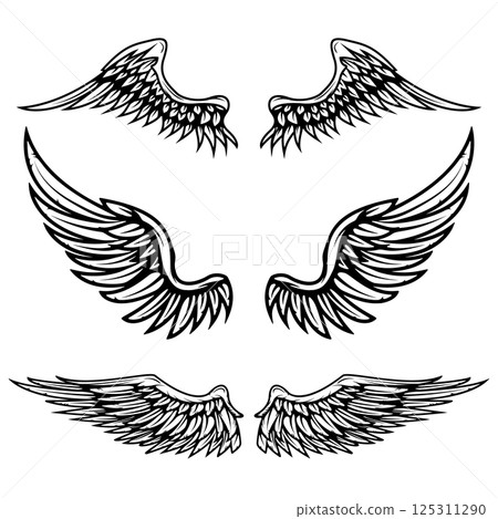 Set of vintage vector wings isolated on white background. Design elements for logo, label, emblem, sign, brand mark. Vector illustration. 125311290