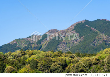 春山 [三重縣菰野町鈴鹿山麓] 125311371