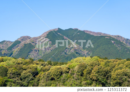 春山 [三重縣菰野町鈴鹿山麓] 125311372