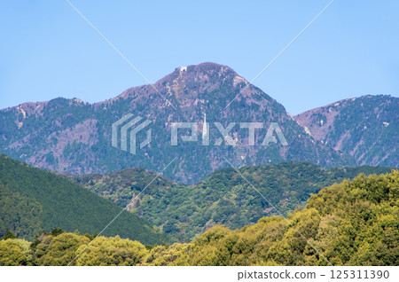 春天的御在所山和山麓的新綠 125311390