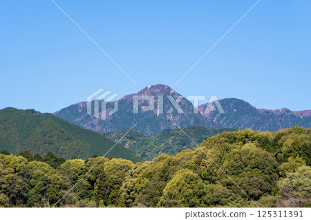 春天的御在所山和山麓的新綠 125311391