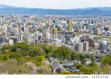 Kumamoto cityscape as seen from cherry blossom-filled Hanaokayama Park 125311524