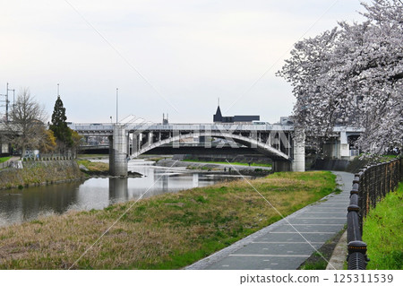Higashiyama Bridge as seen from the Sakura Corridor along Kamogawa River in Minami Ward, Kyoto City Higashiyama Bridge as seen from the Sakura Corridor along Kamogawa River in Minami Ward, Kyoto City 125311539