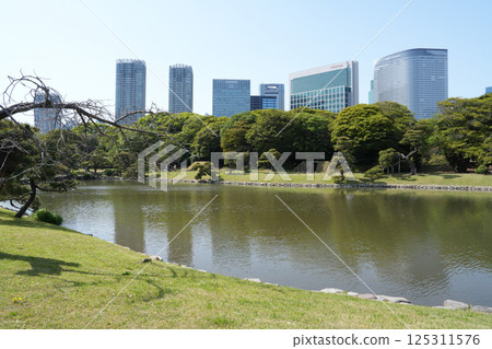 Hamarikyu Garden Hamarikyu Garden 125311576