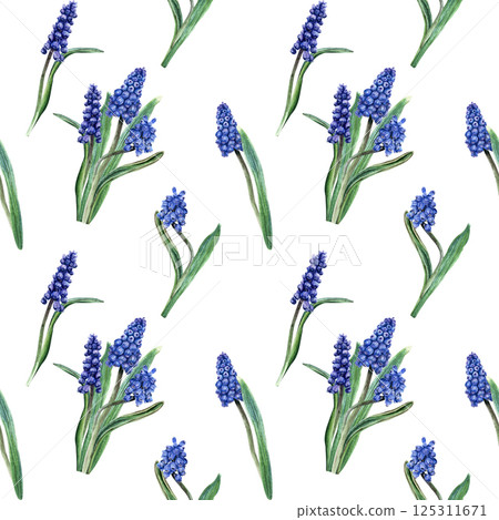 Seamless, repeat pattern with blue grape hyacinth, muscari flowers. Hand drawn watercolor illustration. For wrapping wallpaper fabric textile 125311671